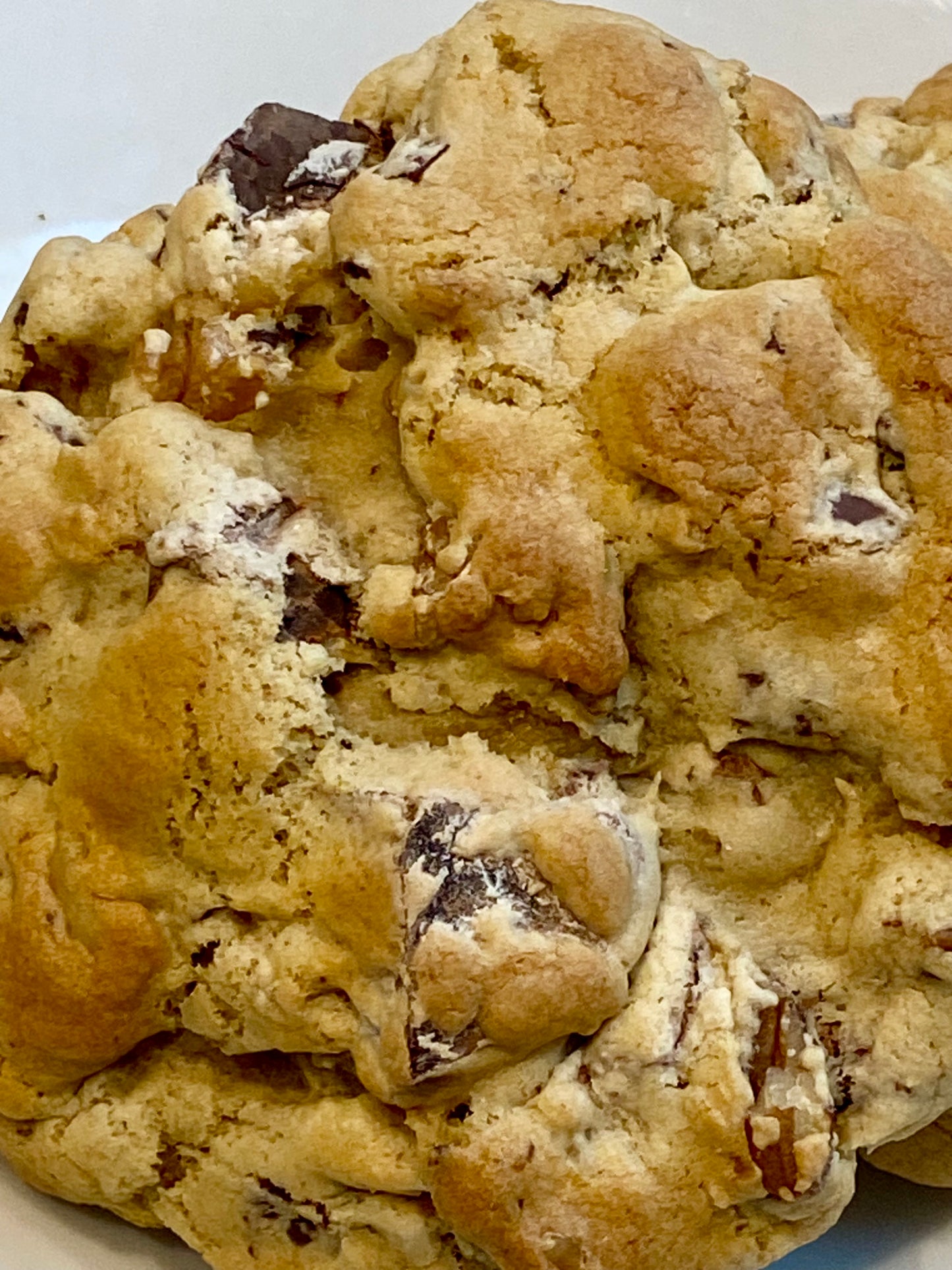 One Dozen Large Dark & Milk Chocolate Chip Walnut Pecan Cookies - Confectionery Cuisine