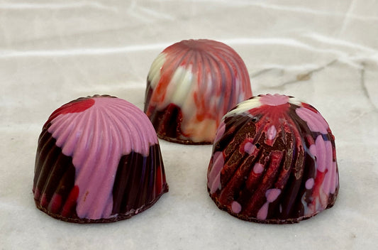 6 Dark Chocolate Bavarian Cream Raspberry Bonbons